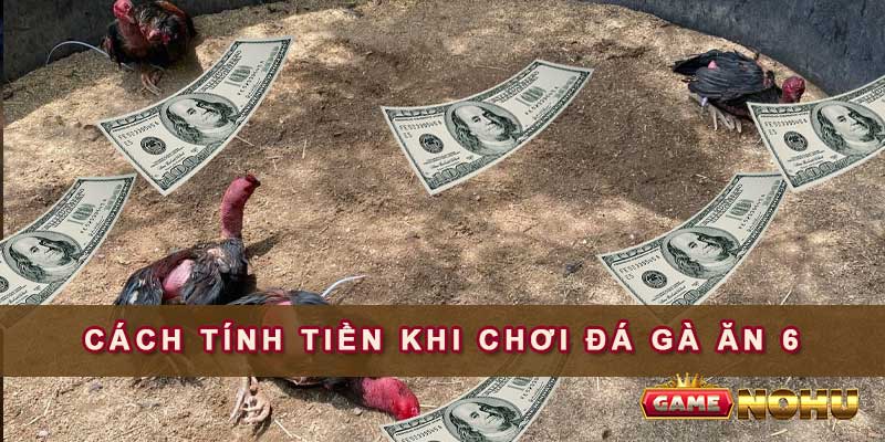 Cách tính tiền khi chơi đá gà ăn 6