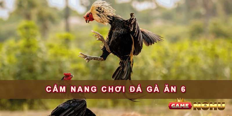 Cẩm nang chơi đá gà ăn 6 từ những cao thủ