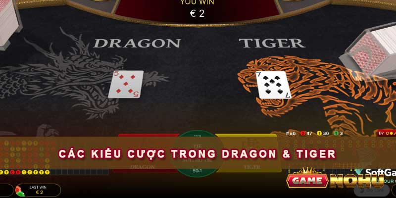 Các kiểu cược trong Dragon & Tiger