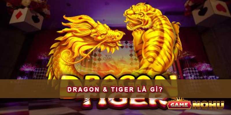 Dragon & Tiger là gì?