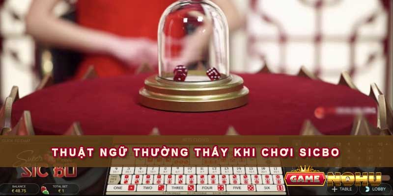 Thuật ngữ thường thấy khi chơi Sicbo